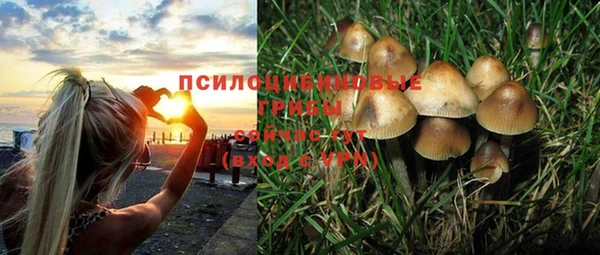 каннабис Алексеевка