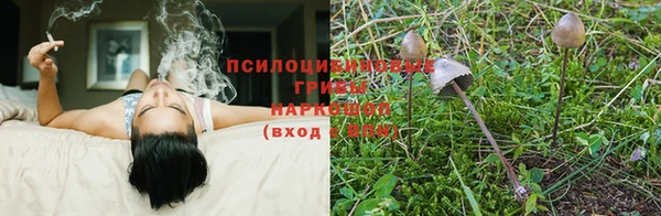 а пвп мука Алзамай